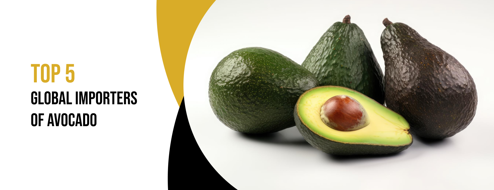 Global Avocado Importers