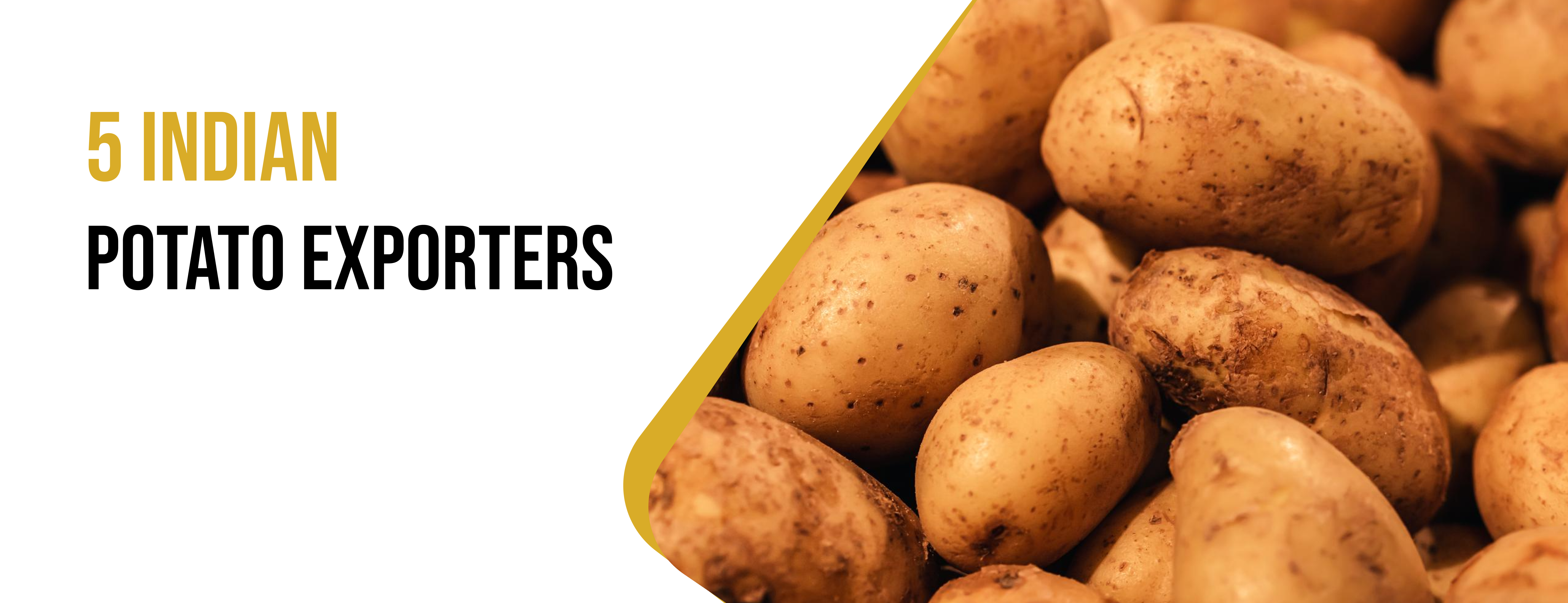 Indian potato exporters