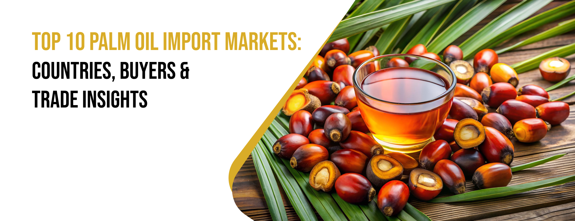 palm oil import