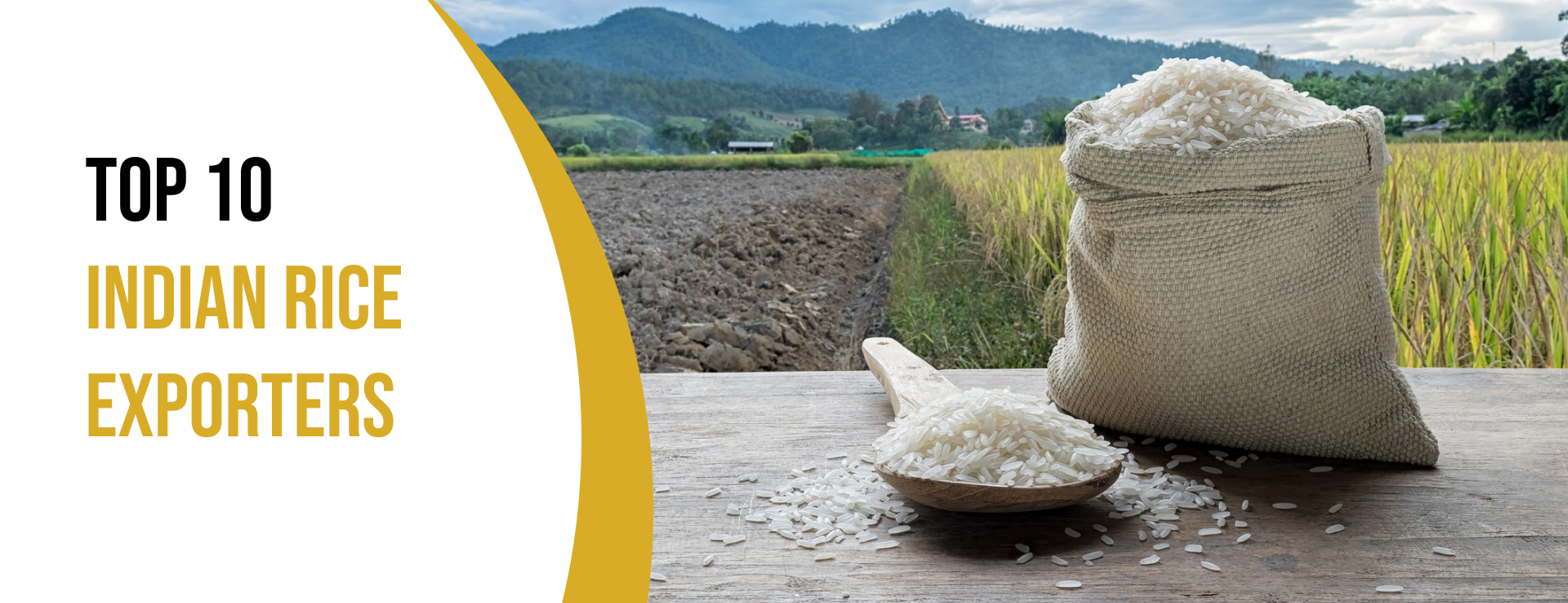 indian rice exporters