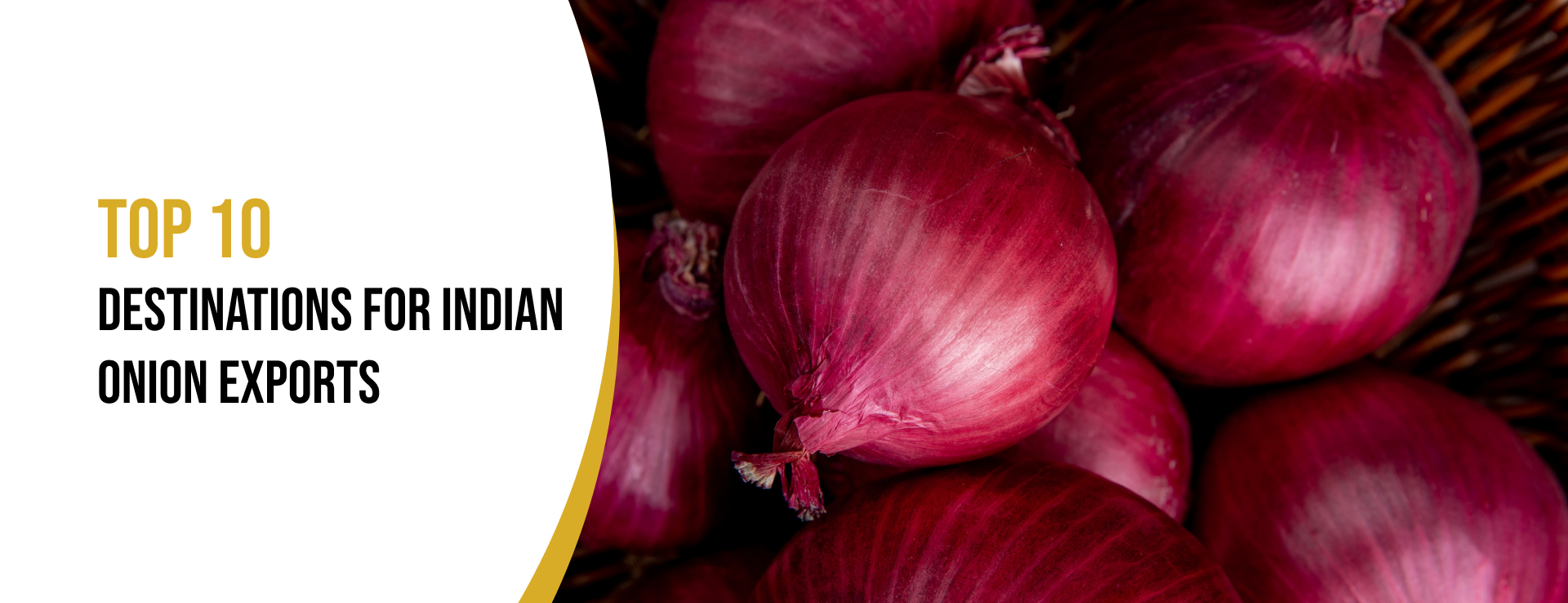 onion exports