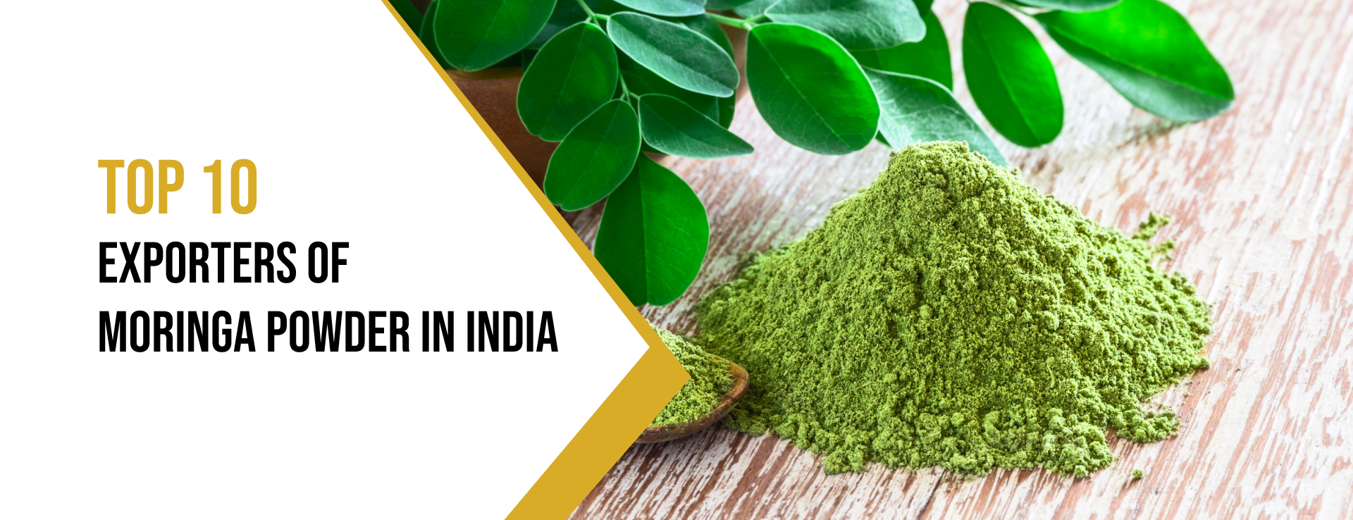 moringa powder export