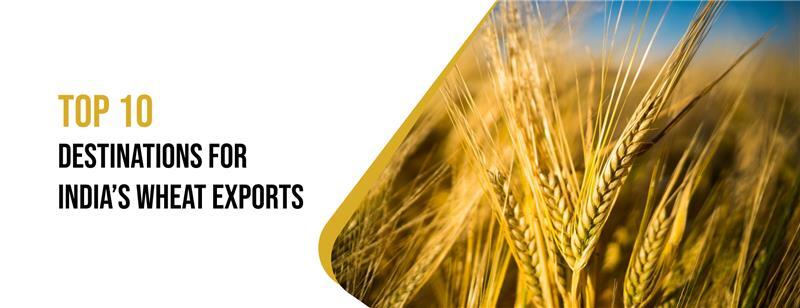 wheat exports