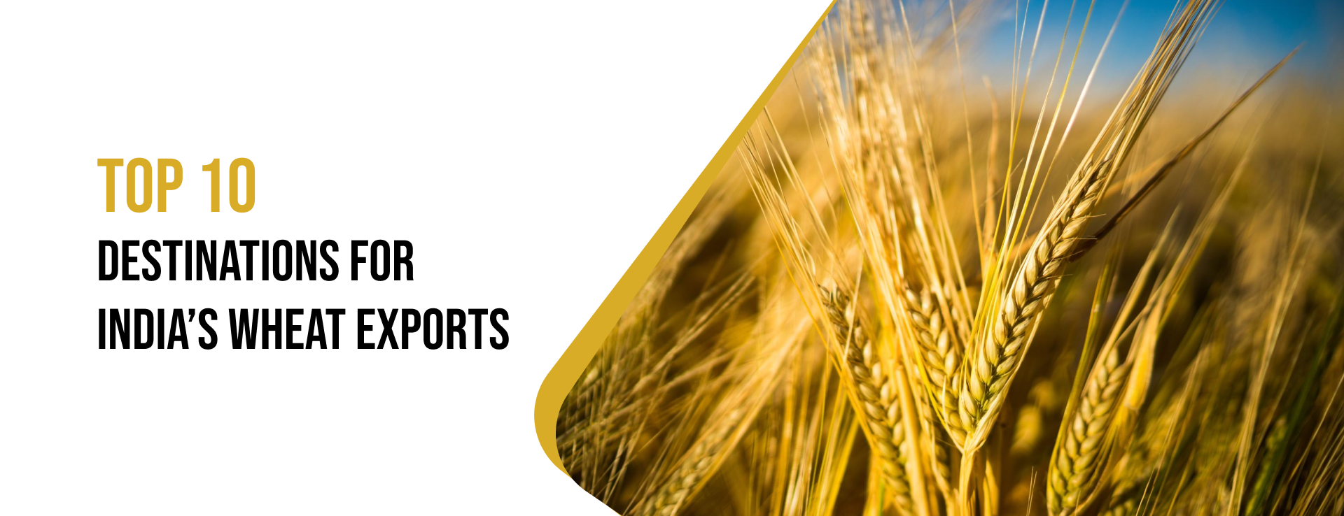 wheat exports