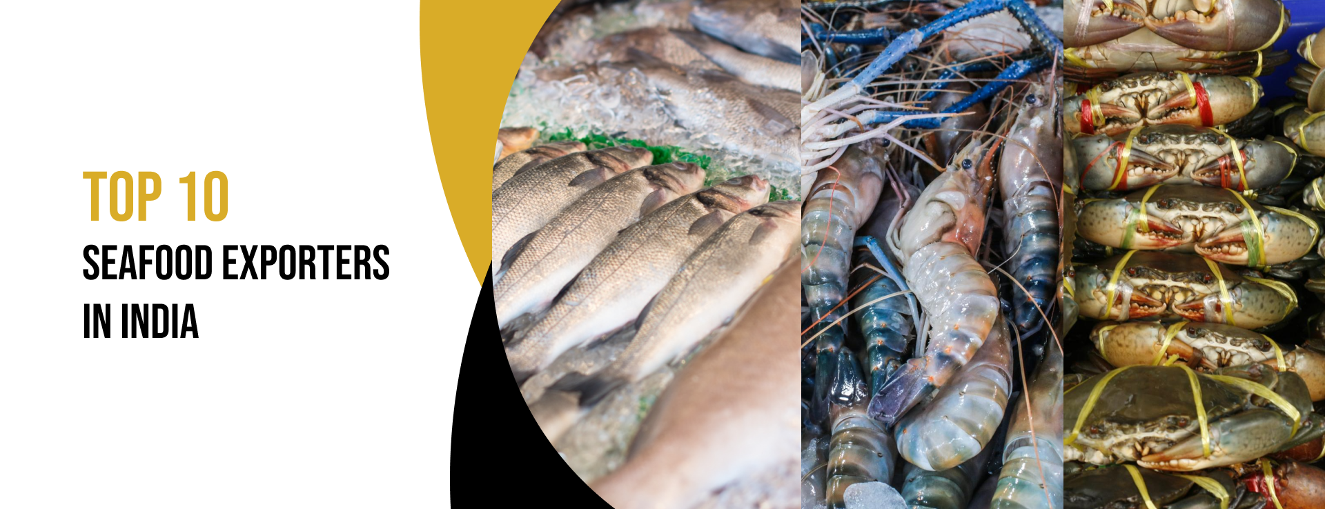seafood exporters