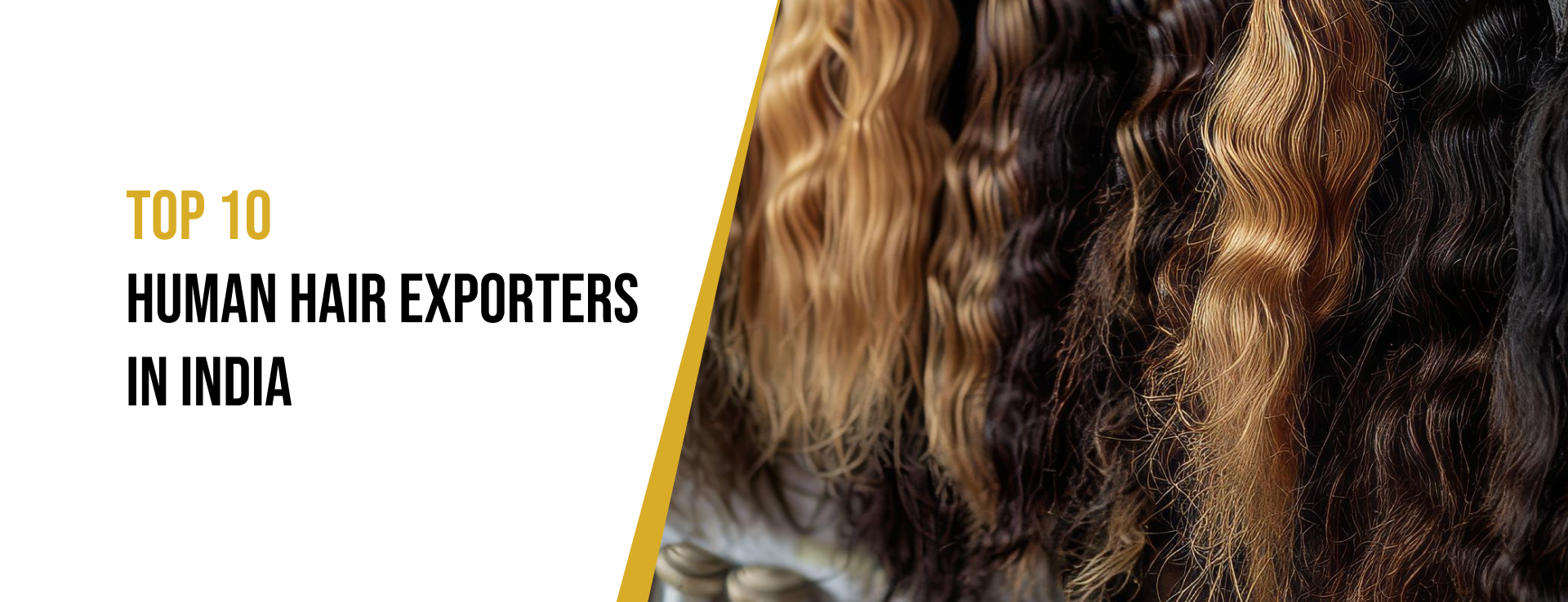 Human hair export