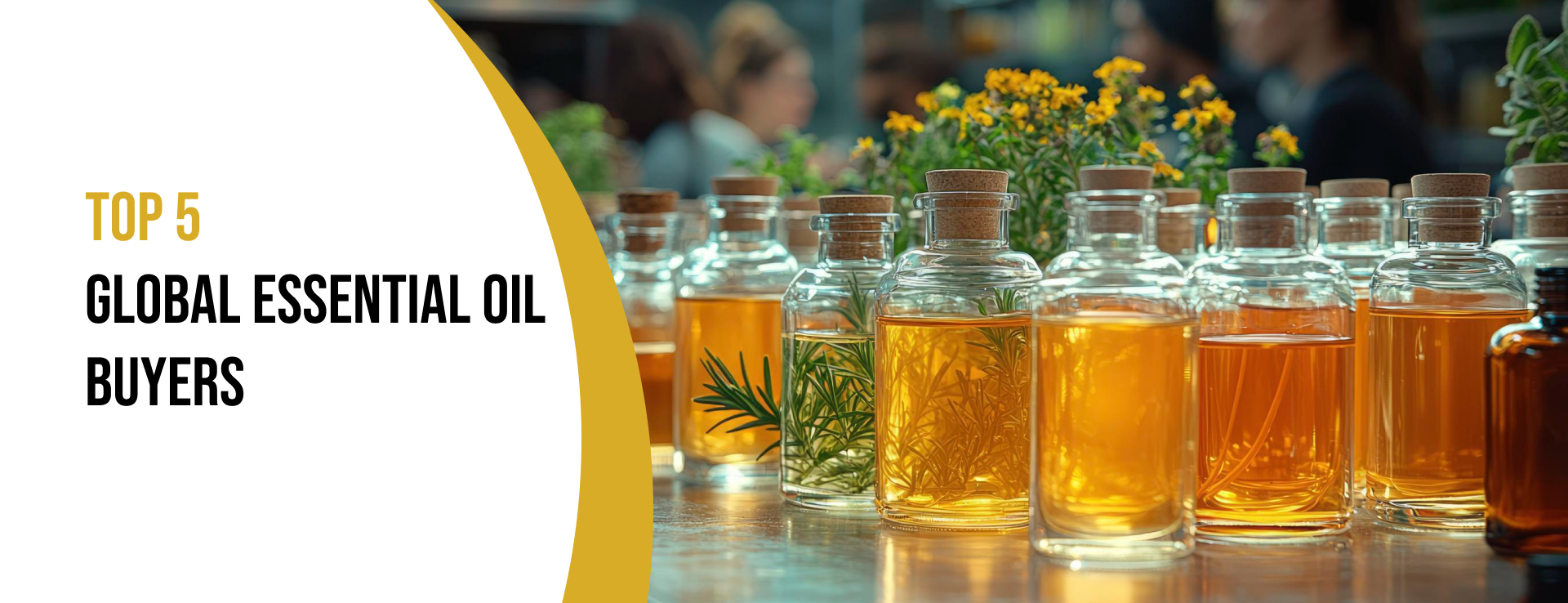 Essential oil buyers
