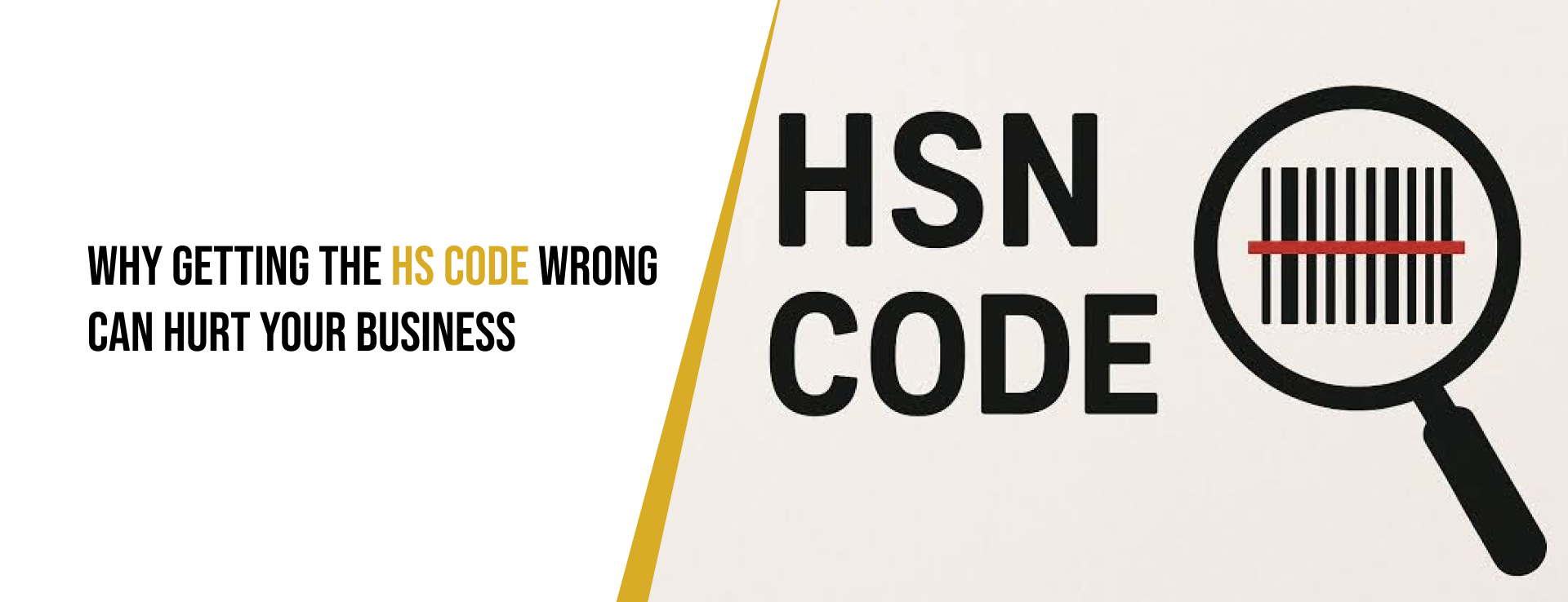 HSN-code-error