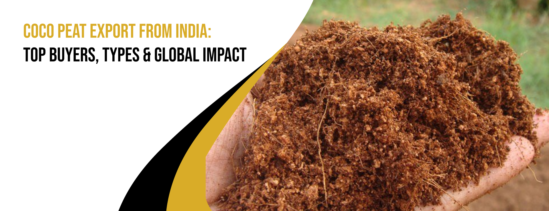 Coco Peat Export from India