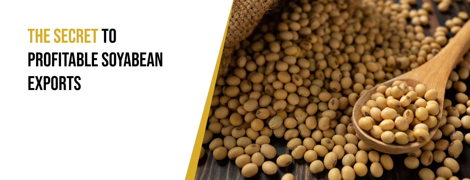 India's Soyabean Export