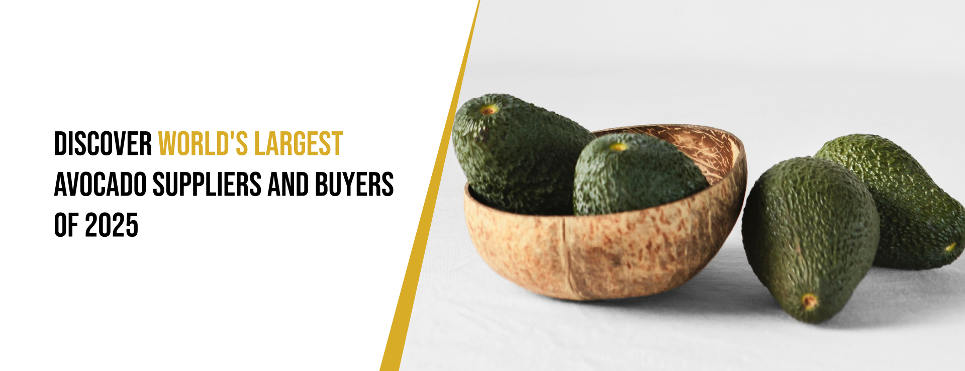 avocado-import-export-data