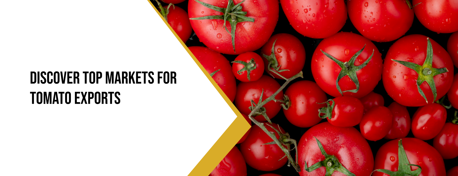 tomato-importing-countries